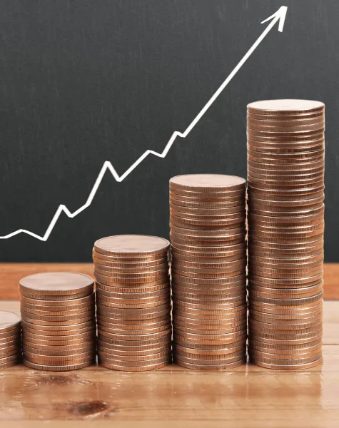 Finance (1)